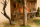Offener einfacher Stall