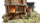 Krippenhaus mit offenem Stall