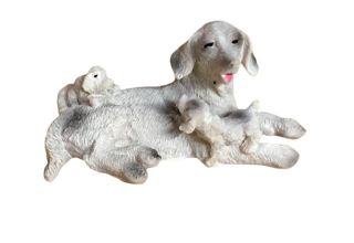 Hundefamilie
